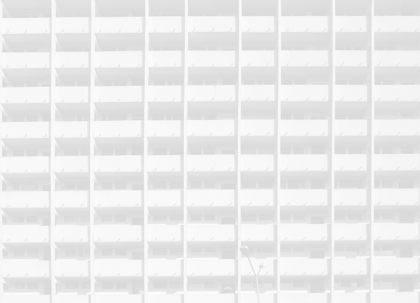 Mrówkowiec nad Balatonem