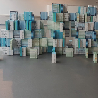 Pączkowanie, Wystawa 