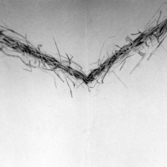 Rysunek na ścianie, Galeria 9,39, Toruń 2003